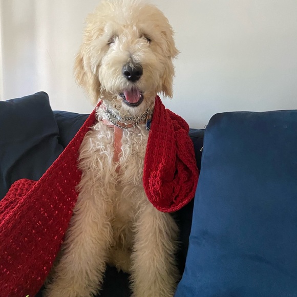 Welcome ☀️ - Picture 16 of 16